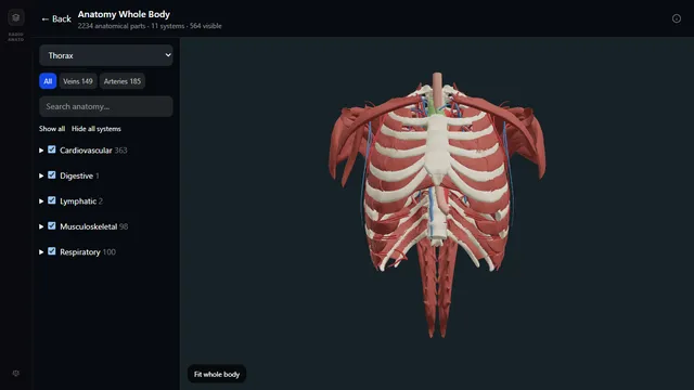 Tórax en el atlas de anatomía 3D de RadioAnatomy: costillas, esternón, músculos, arterias y venas, con la lista de sistemas a la izquierda